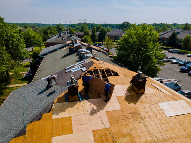 Trusted Roof Replacement service in Langley, SC - Brentwood Metal Roofing
